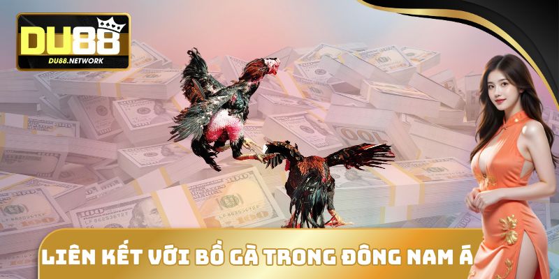 Liên kết với bồ gà trong Đông Nam Á
